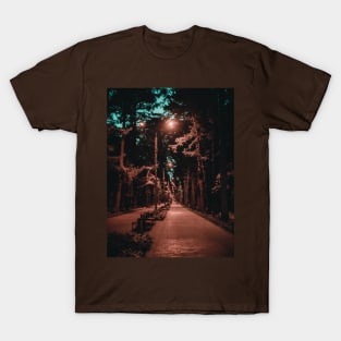 Magical park T-Shirt